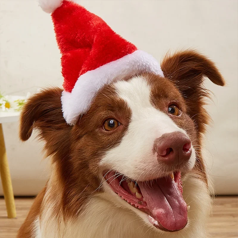 Santa Hat Plush - Plush Pet Santa Hat Christmas Dog