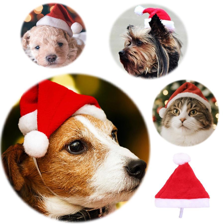 Christmas Pet Santa Hat Red Pl - Santa Hat Plush ulasan dan harga